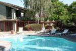 The Springs