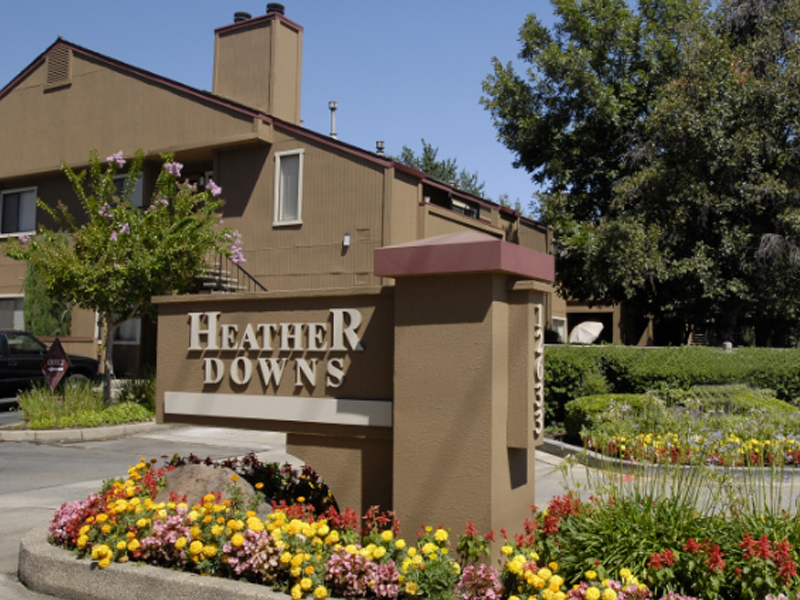 Heather Downs