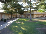 The Franciscan