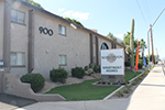 Sonoran Palms