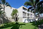 The Palms of Kilani