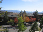 Reno Vista Apartments