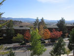 Reno Vista