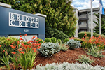 Bridge Creek