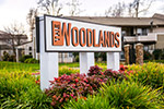 The Woodlands