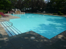 The Commons