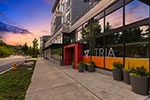 Tria