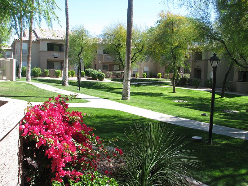 Chandler Apartments Ocotillo Bay Apartments Chandler, AZ