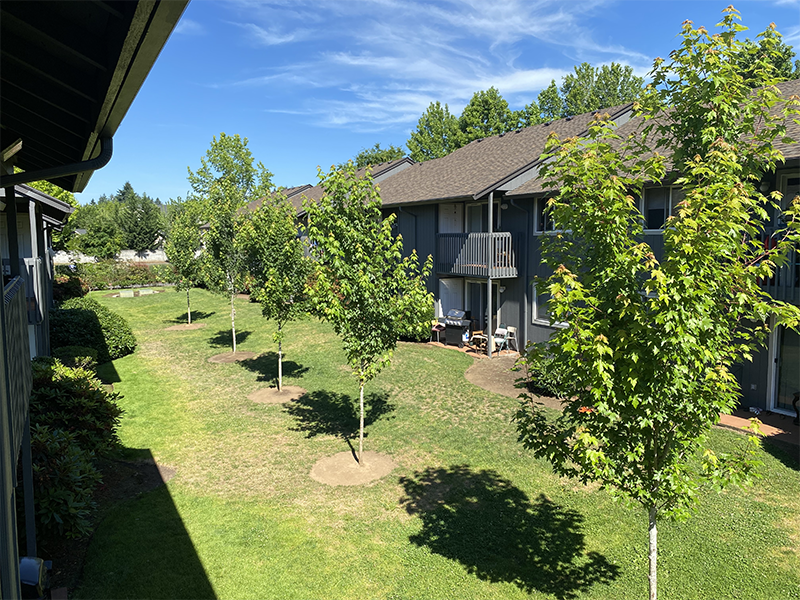 Andresen Park