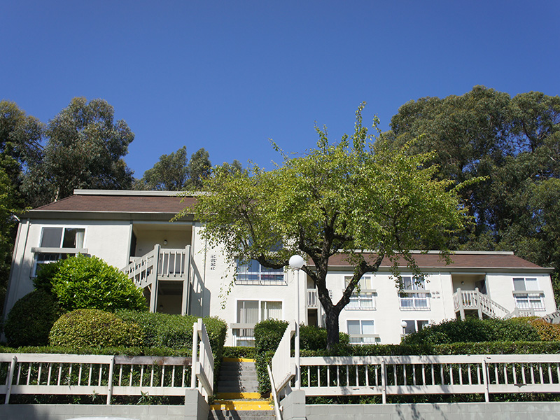 Park Hill