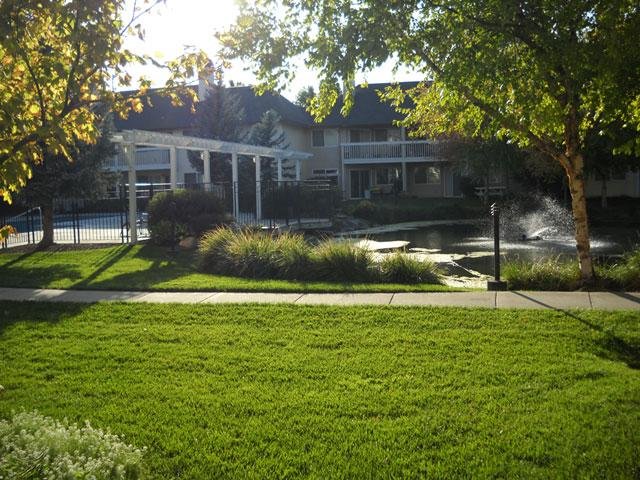 Orchard Place