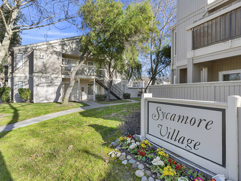 Sycamore Village