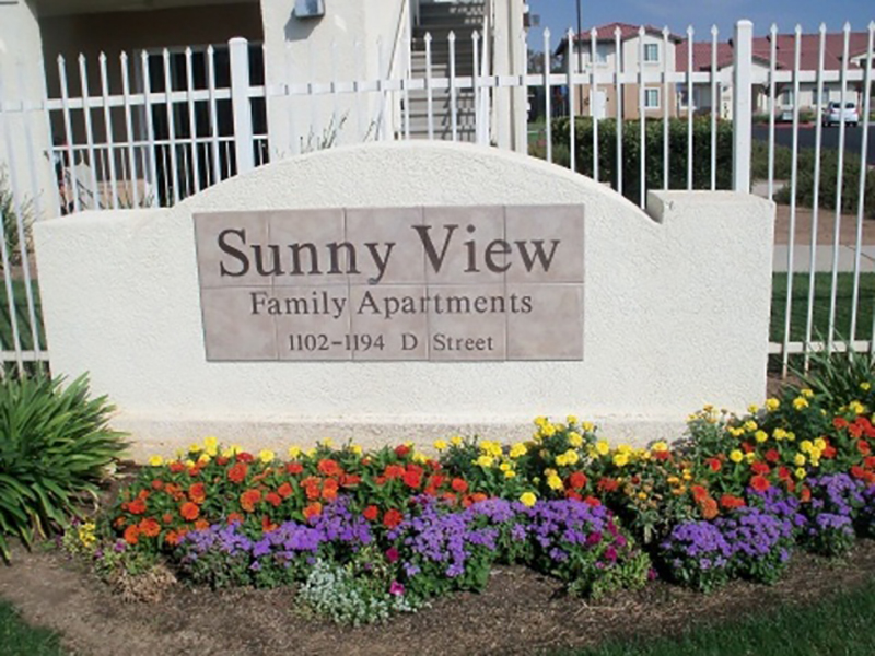 Sunny View