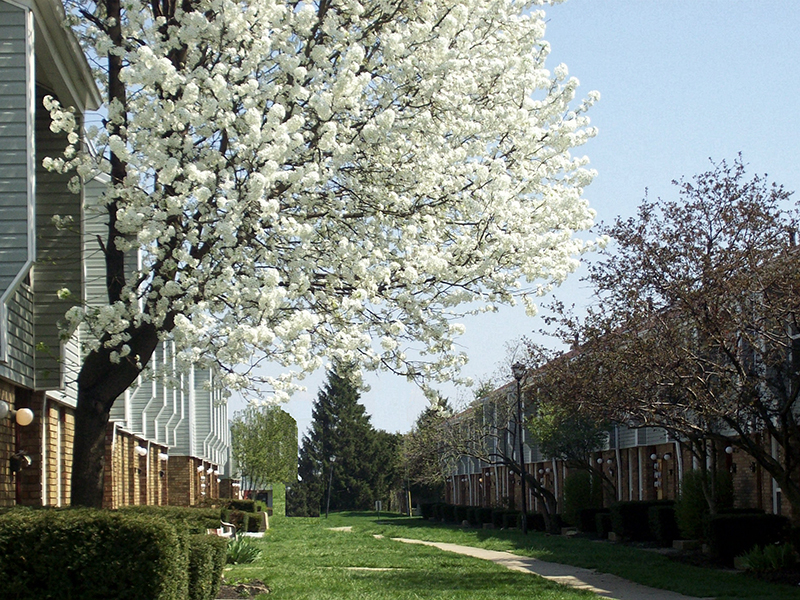 Sharon Green Townhomes