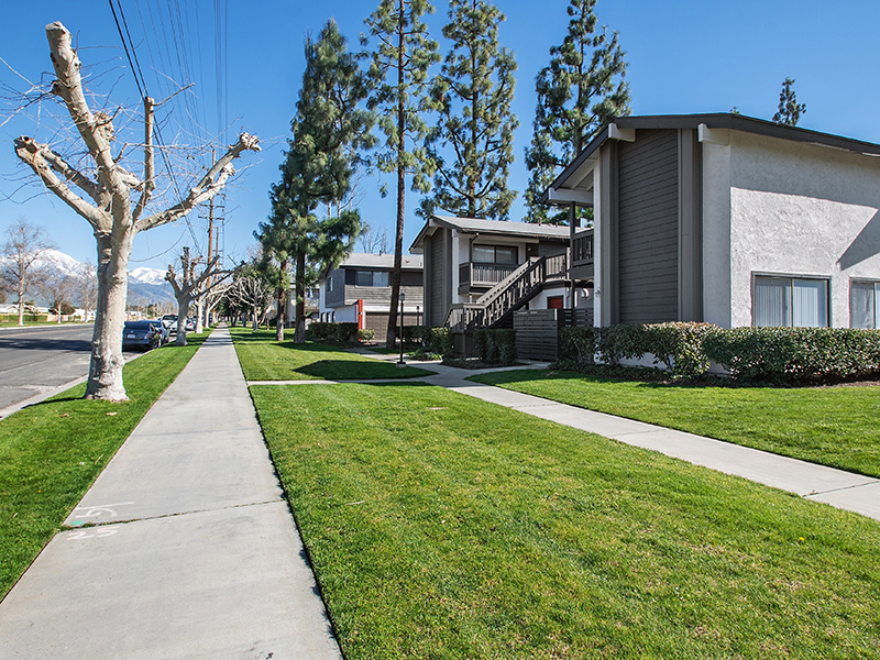 Portola Redlands