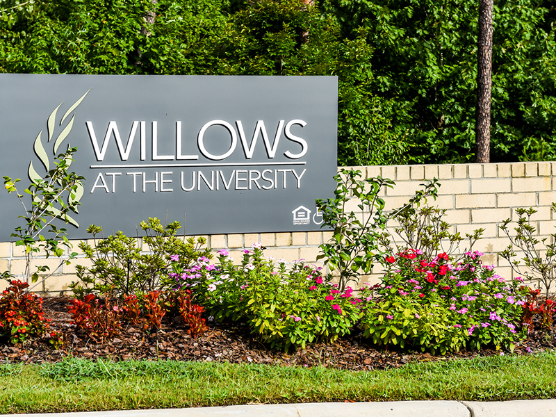 Willows at the University